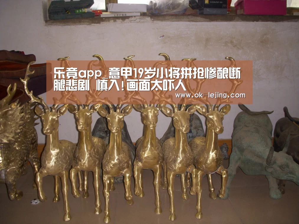 乐竟平台