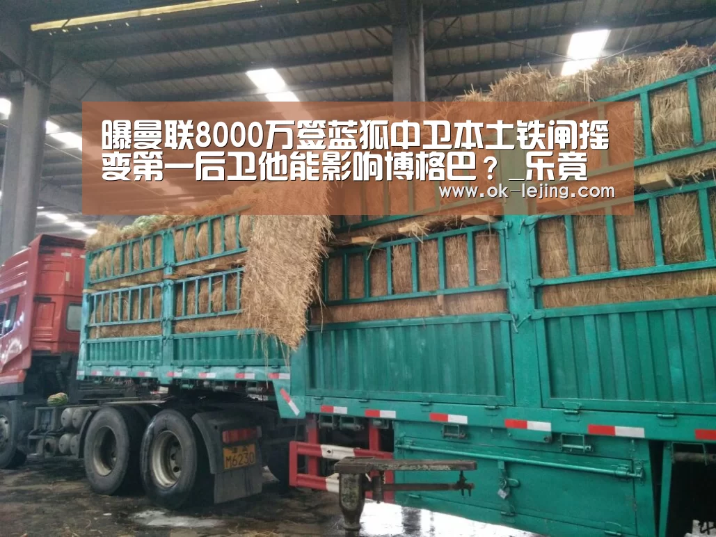 乐竟体育app