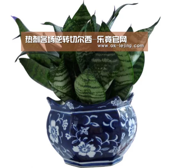 乐竟平台